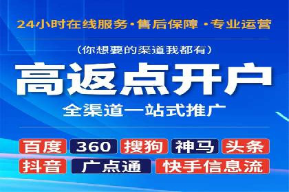 知名SEM公司案例分析：优化策略与成果